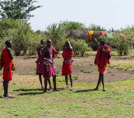 maasai preparing for the days work meet the maasai on safari ®bushtreksafaris