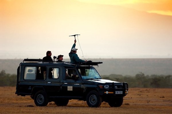 conservation safari tracking lions conservancy ®bushtreksafaris