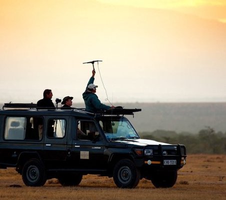 conservation safari tracking lions conservancy ®bushtreksafaris