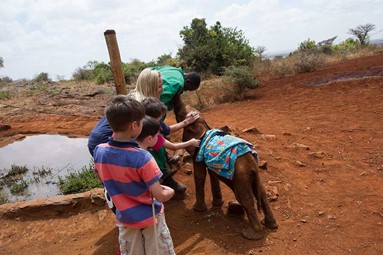 School Safari to Africa