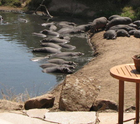 Mara Bush Camp